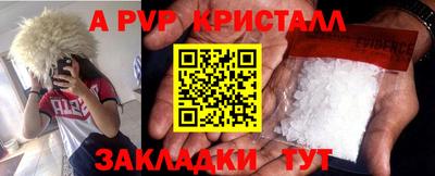 a pvp Кимры