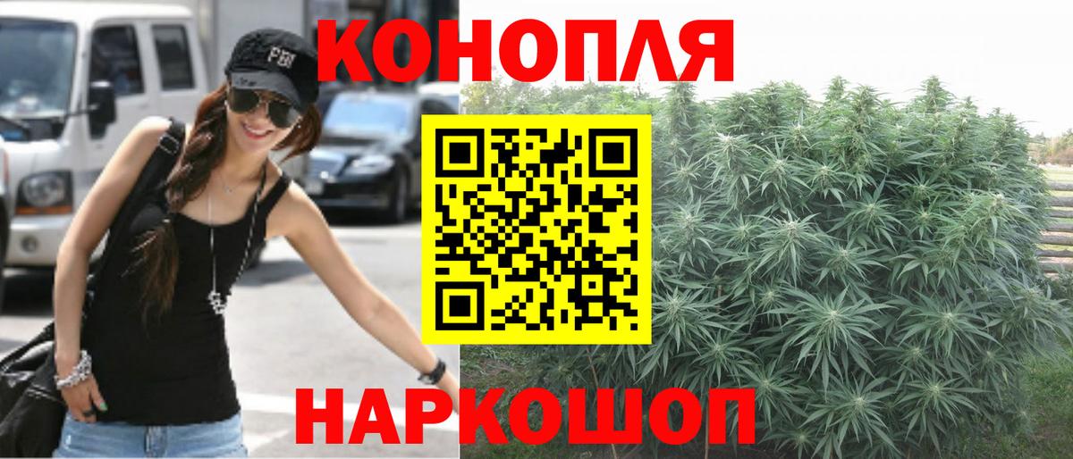 Бошки марихуана VHQ Кемерово